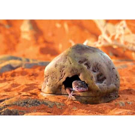 Exo Terra Gecko Cave