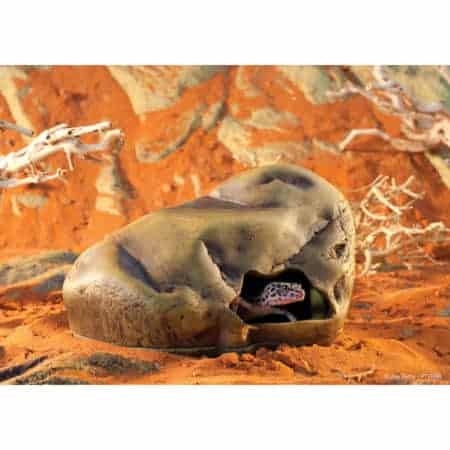Exo Terra Gecko Cave
