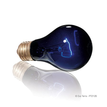 Exo Terra Night Heat Lamp