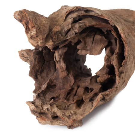 Galapagos Hollow Log, Eucalyptus Root, Natural, 6-8in