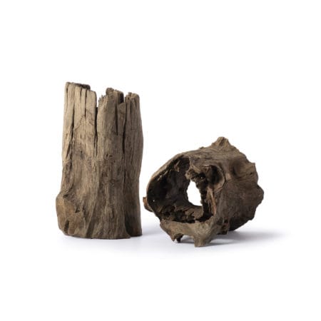 Galapagos Hollow Log, Eucalyptus Root, Natural, 6-8in
