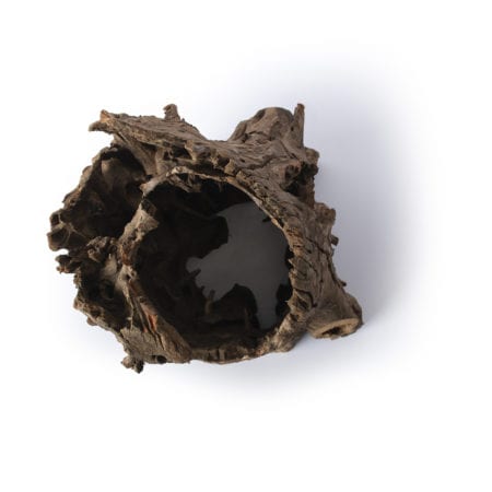 Galapagos Hollow Log, Eucalyptus Root, Natural, 6-8in