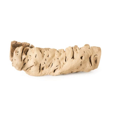 Galapagos Hollow Hide, Grapevine Cave, Natural, 10-14in