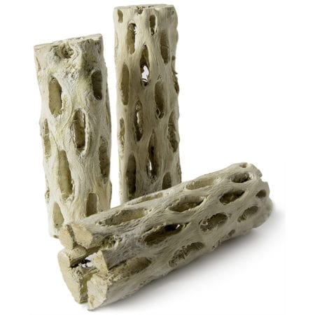 Galapagos Cholla Natural Wood Branches