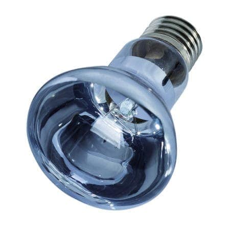 Energy-efficient LED light bulb for reptile terrariums and vivariums.