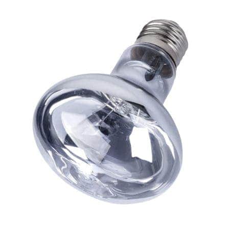 LED light bulb for reptile terrarium lighting, energy-efficient and bright.