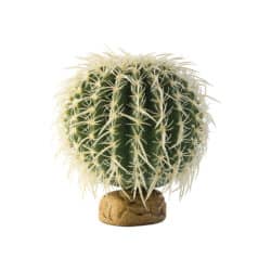 Exo Terra Desert Plant - Barrel Cactus