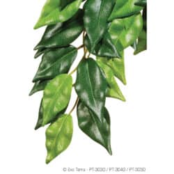 Exo Terra Silk Plant - Ficus