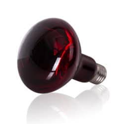 Reptizoo Infrared Heat Spot Lamp