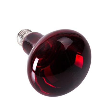 Reptizoo Infrared Heat Spot Lamp