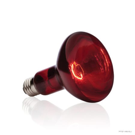 Red heat lamp bulb for reptile enclosures and terrariums.