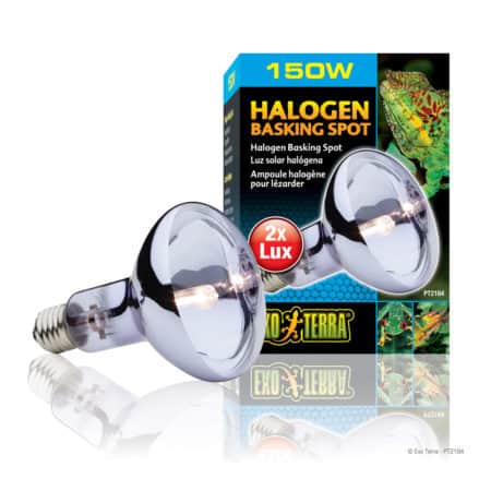 Exo Terra Halogen Basking Spot