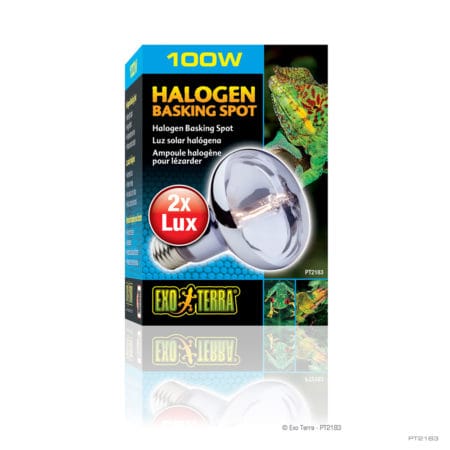 Reptile halogen basking light bulb for heat and UV, 100W, suitable for terrariums.