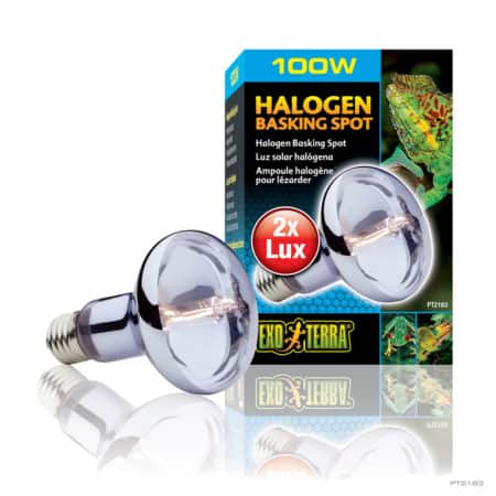 Exo Terra Halogen Basking Spot