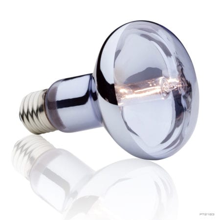 LED light bulb for reptile terrariums, energy-efficient lighting solution.