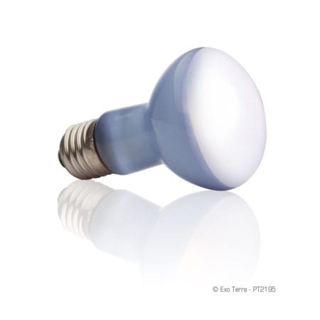 Energy-efficient LED light bulb for reptile terrariums and enclosures.