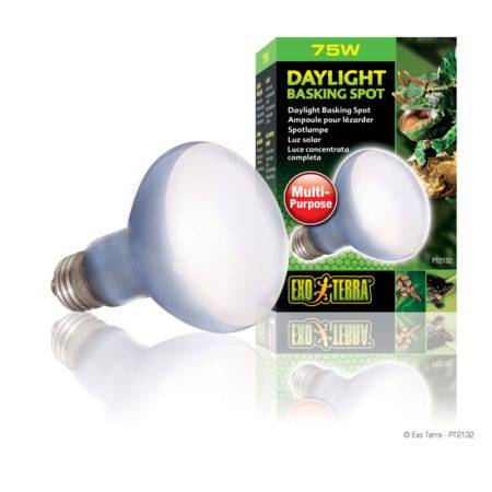 Exo Terra Daylight Basking Spot Lamp