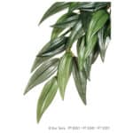 Exo Terra Silk Plant - Rucus