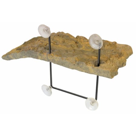 Zoo Med Floating Turtle Dock