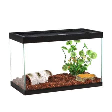 Reptizoo Hydrocotyle Vulgaris Plant