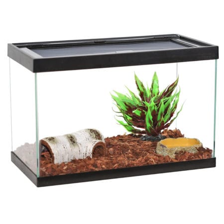 Reptizoo Fern-Gold Tube Ball Plant