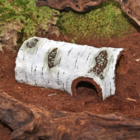 Reptizoo Poplar Hide Cave