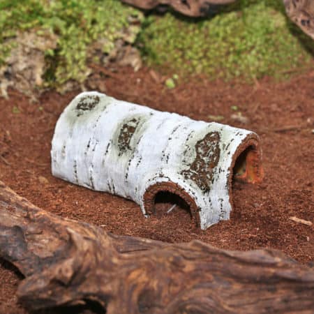 Reptizoo Poplar Hide Cave