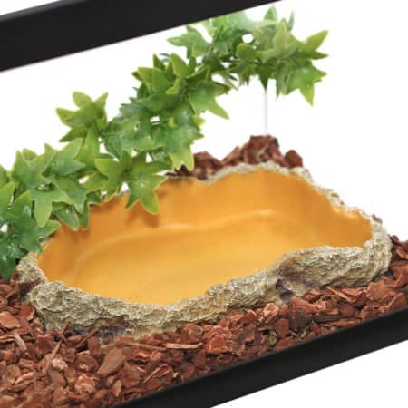 Decorative reptile water dish with natural stone and plant accents for terrariums.