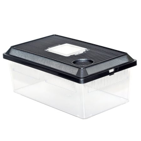 Herp Haven Breeder Box