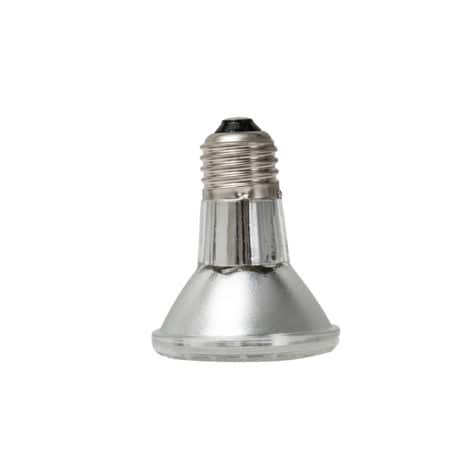 Reptizoo Halogen Spot Lamp