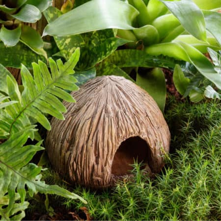Exo Terra Coconut Cave