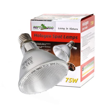 Reptile Zoo halogen spot lamp, 75W, ideal for reptile terrariums and habitat lighting.