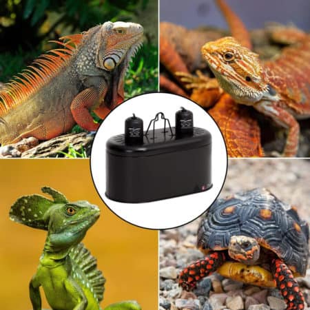 Reptizoo Double Dome Lamp Fixture