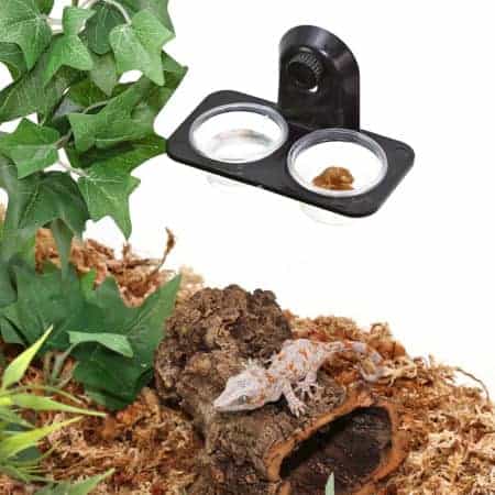 PSU Gecko Feeding Ledge