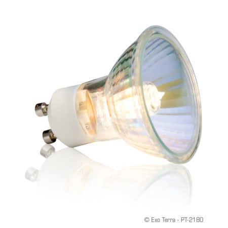 Exo Terra Sun Glo Halogen Daylight Lamp - 35W