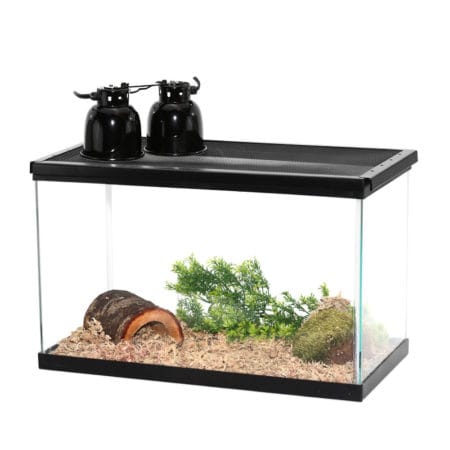 Reptile terrarium with heating lamps, suitable for small reptiles and amphibians. Perfect habitat fo.