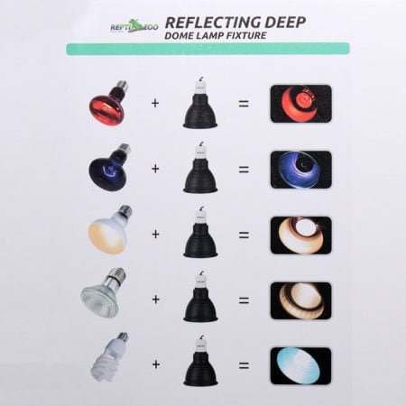 Reptile lighting fixture showing different colored dome lamps for deep reflection.