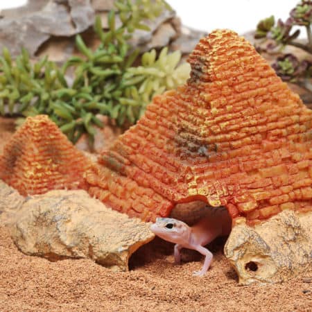 Reptile habitat with stone pyramid and desert environment, perfect for desert-dwelling reptiles.