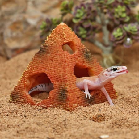 Desert reptile enclosure featuring a brick hide and a gecko emerging from its burrow. Perfect for de.
