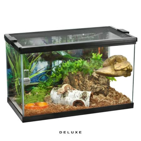 Reptile terrarium with natural decor, suitable for small reptiles and amphibians. Perfect habitat fo.