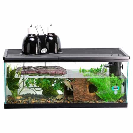 Aquatic turtle habitat with filtration and aquatic plants in a 20-gallon tank. Perfect for small tur.