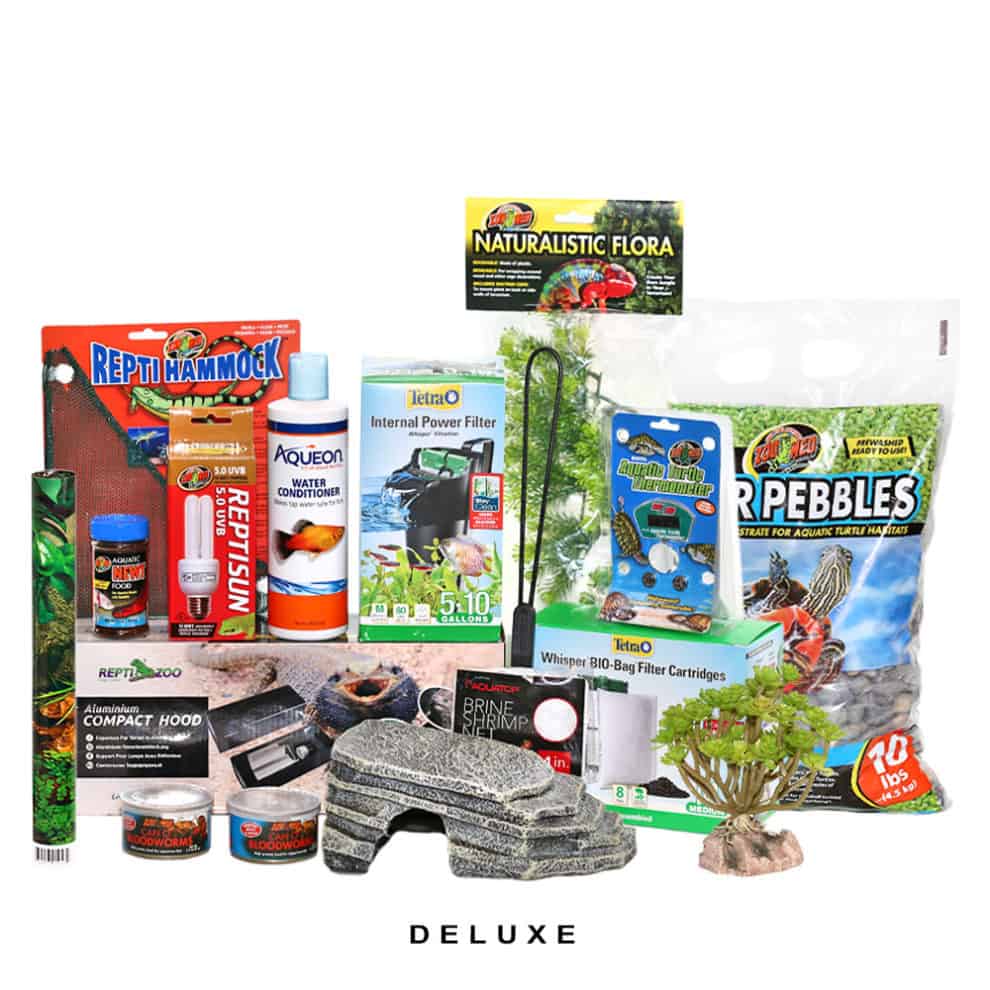 COMPLETE Axolotl Setup Underground Reptiles