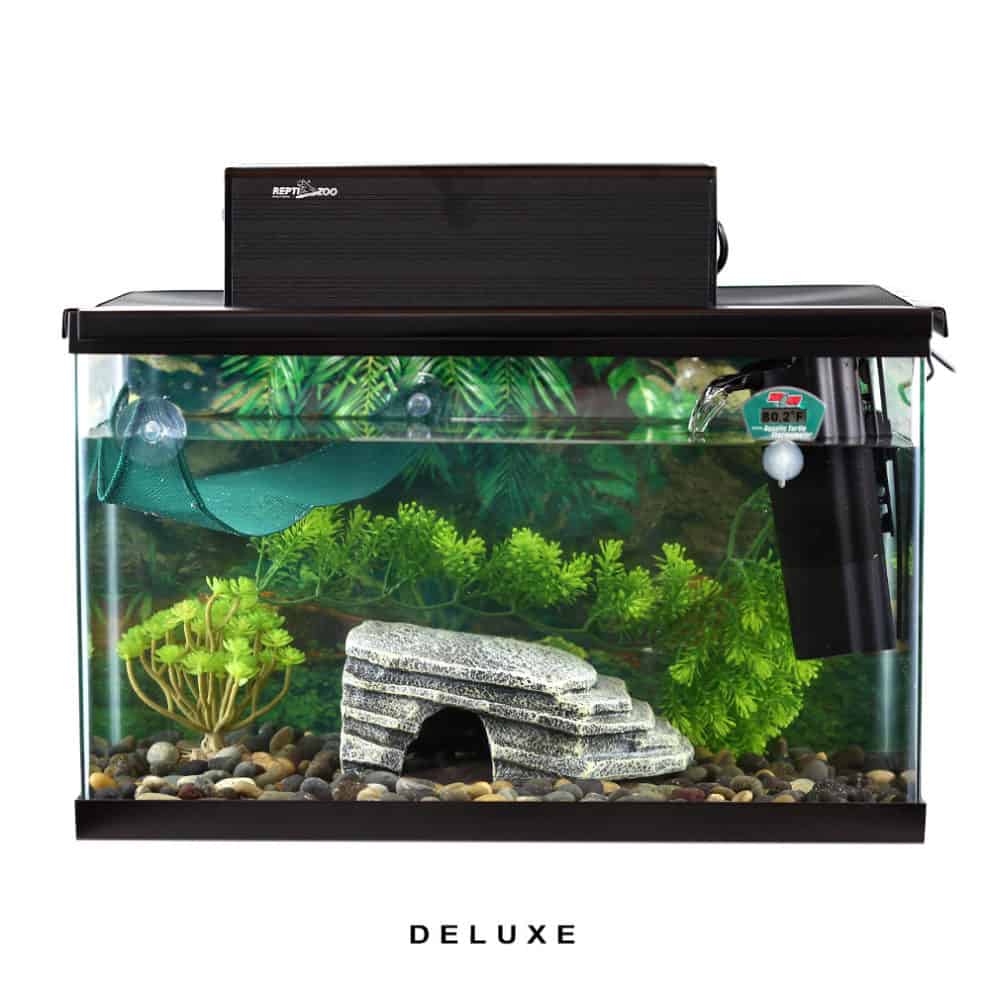 COMPLETE Axolotl Setup Underground Reptiles