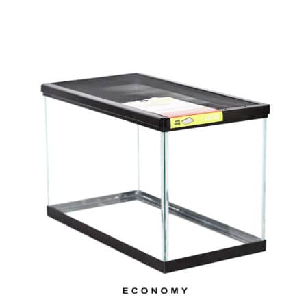 Reptile terrarium with glass sides and black frame for reptiles and amphibians. Perfect for creating.