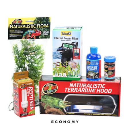 Reptile habitat setup with terrarium hood, water filter, UVB bulb, and plants for reptiles.