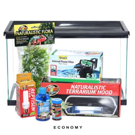 Reptile terrarium with plants, filter, and accessories for a naturalistic reptile environment.