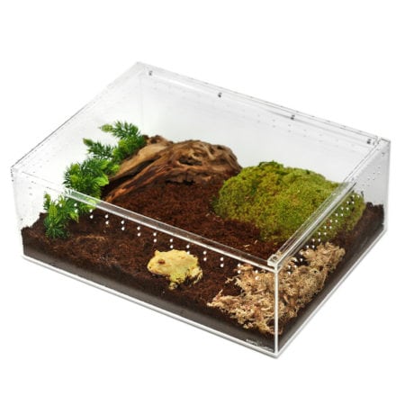 Reptile terrarium featuring plants, moss, and natural decor for reptiles and amphibians.