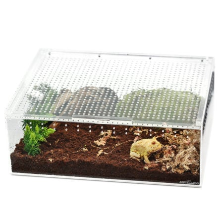 Reptile terrarium with frog, soil, and plants for habitat enclosure.