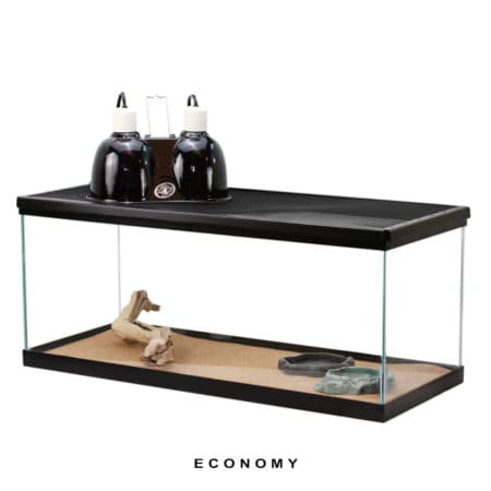 Bearded Dragon Setup