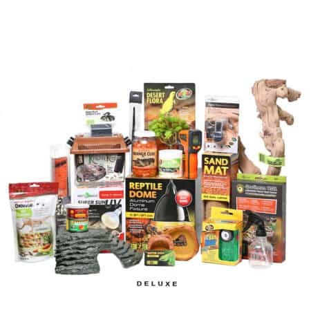 Deluxe Bearded Dragon Setup